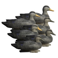 Higdon Battleship Black Duck Decoys Foam Filled